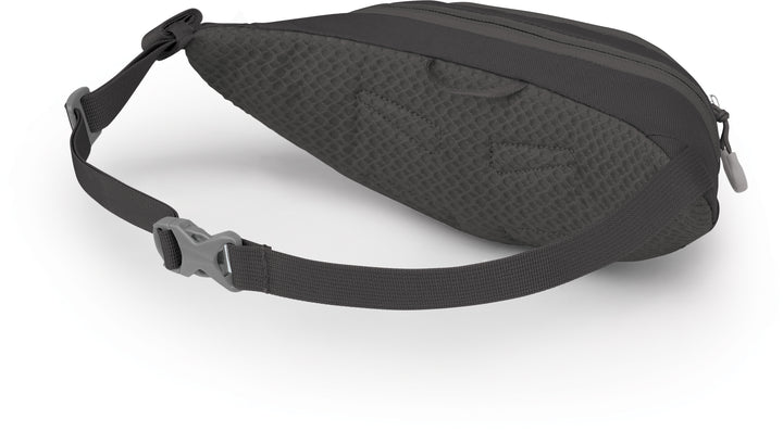 Daylite Mini Waist Pack - 1L
