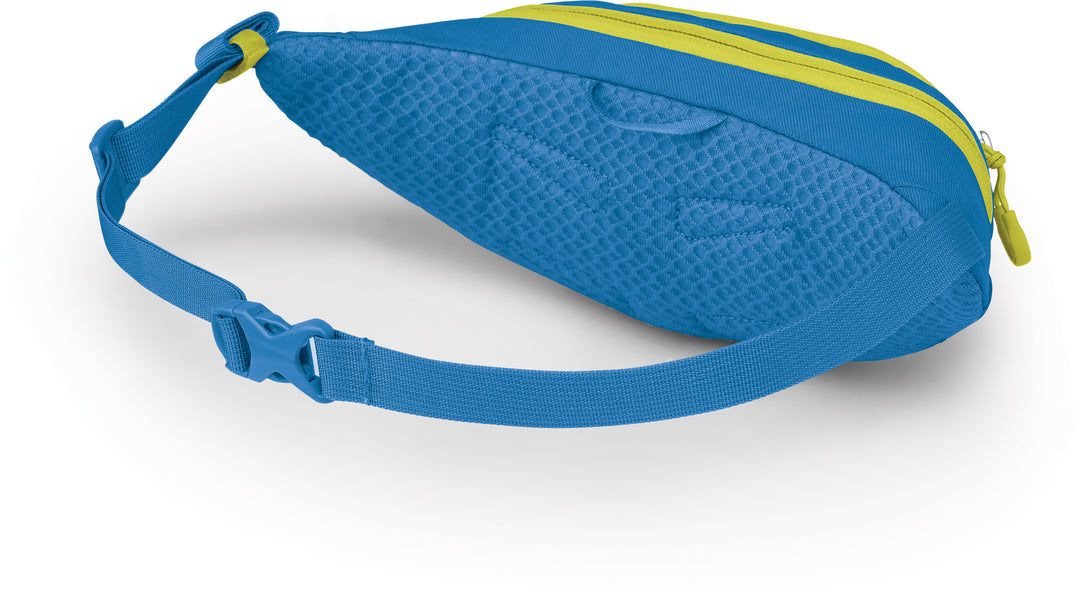 Daylite Mini Waist Pack - 1L