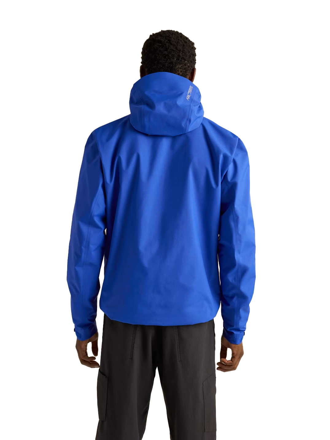 Beta GTX Jacket - Men's