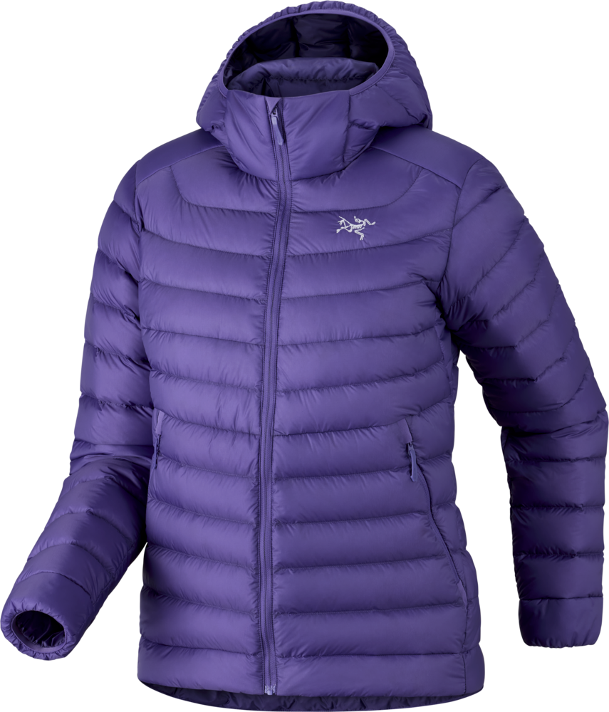 Cerium Down Hoody - Women's