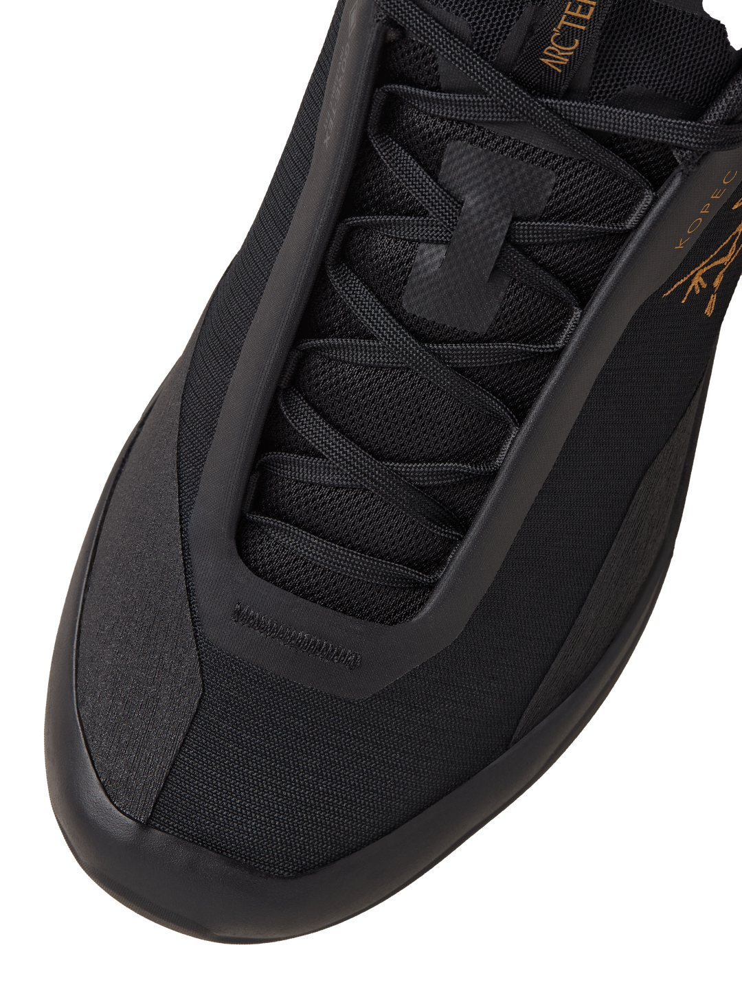 Kopec 2 Low GTX Shoe - Men's