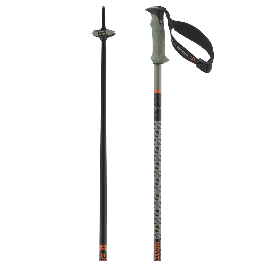 Polar Pro S3 Alpine Ski Poles