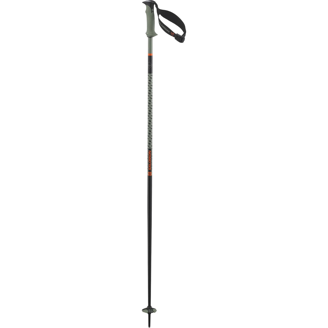 Polar Pro S3 Alpine Ski Poles