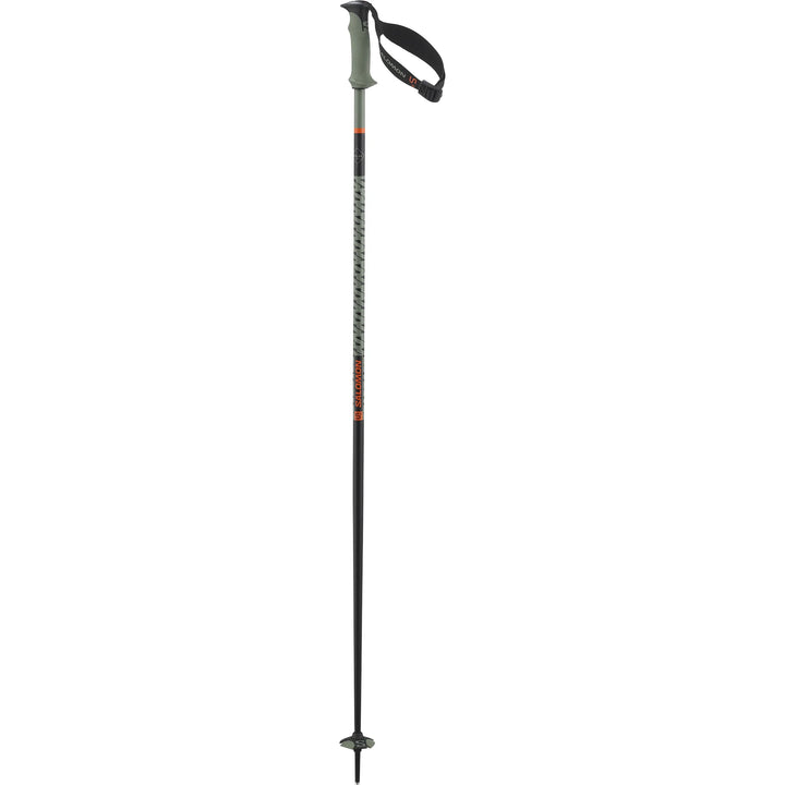 Polar Pro S3 Alpine Ski Poles