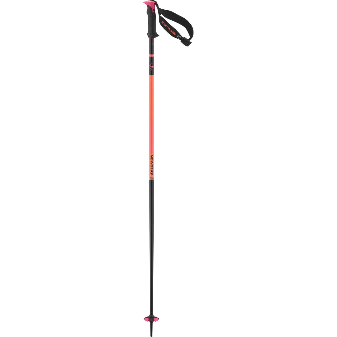 Polar Pro S3 Alpine Ski Poles