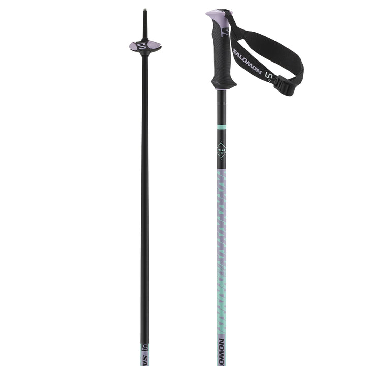 Polar Pro S3 Alpine Ski Poles