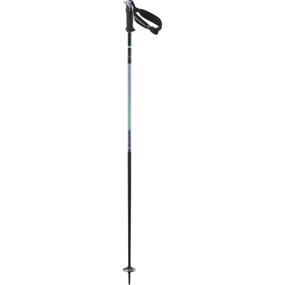 Polar Pro S3 Alpine Ski Poles