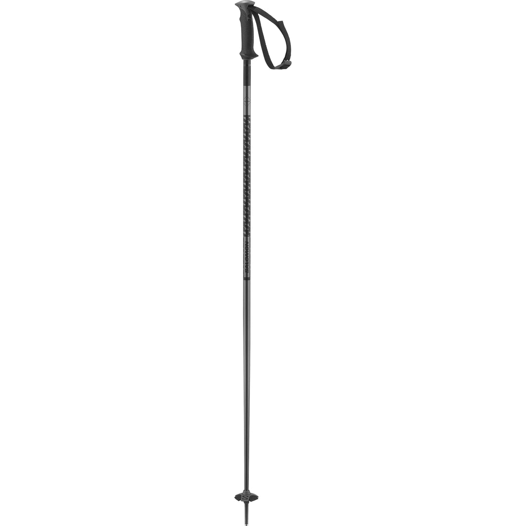 Polar Alpine Ski Poles