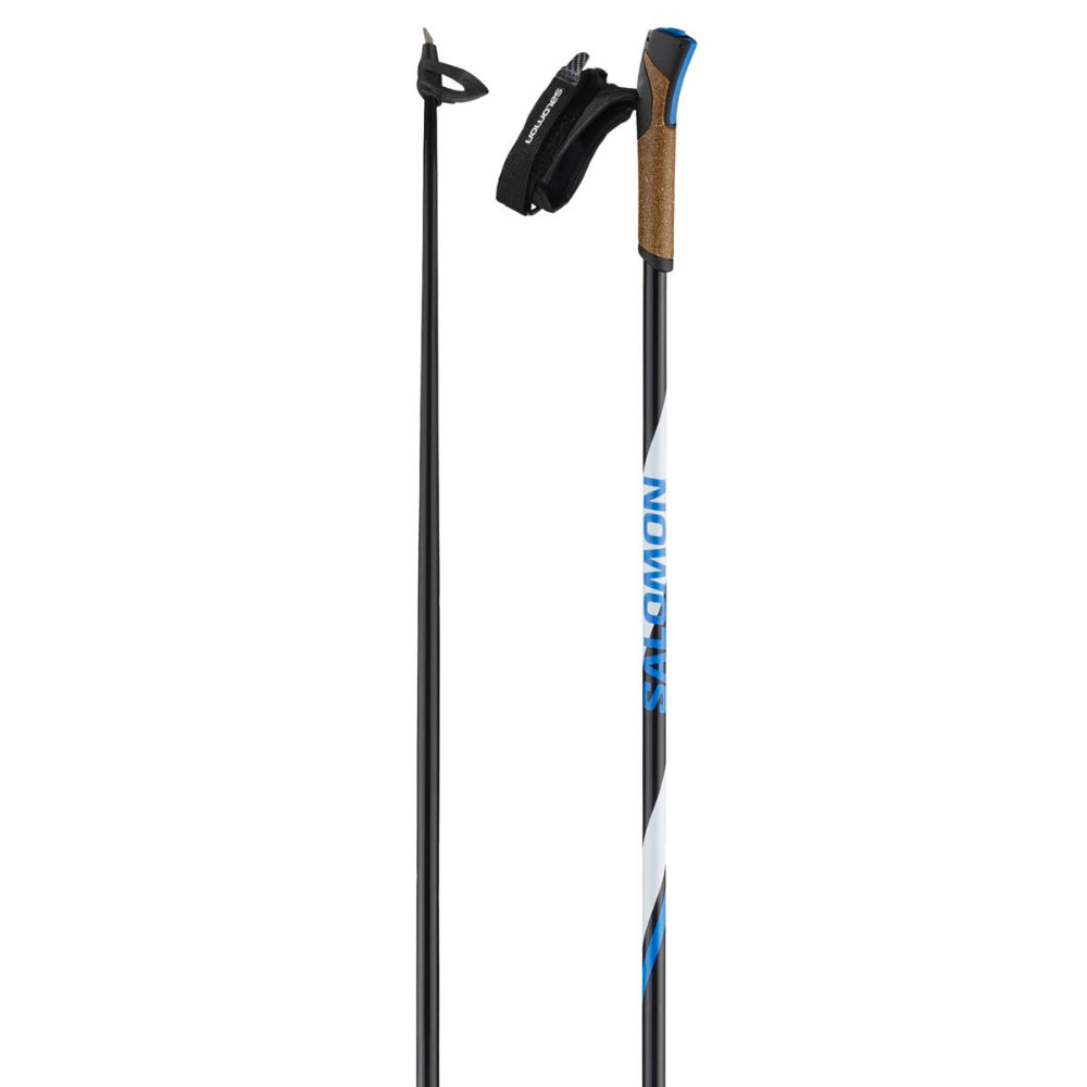 Two ski poles with visible branding on a white background