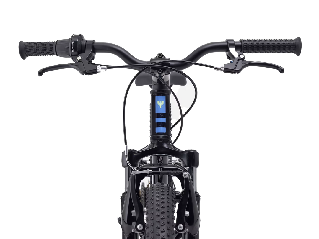 Precaliber 20 7-speed