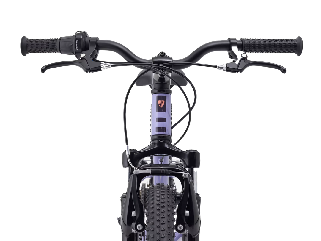 Precaliber 20 7-speed