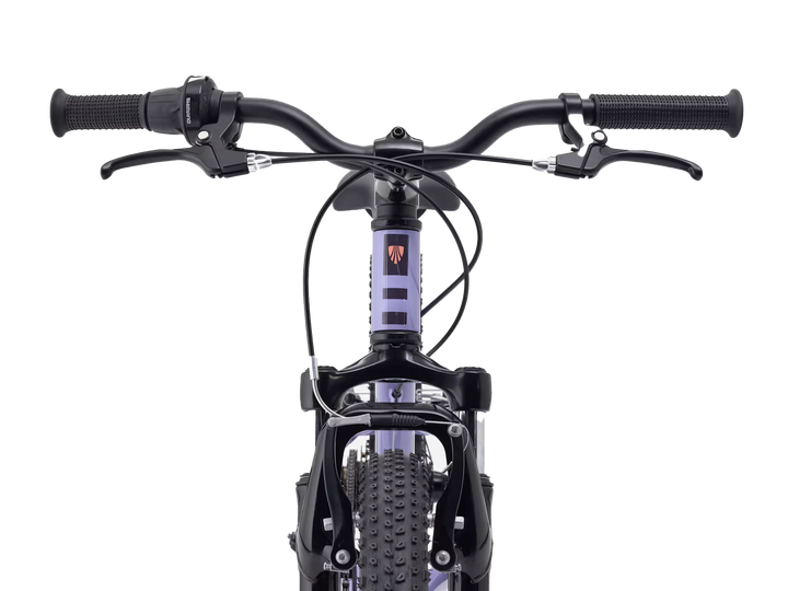 Precaliber 20 7-speed