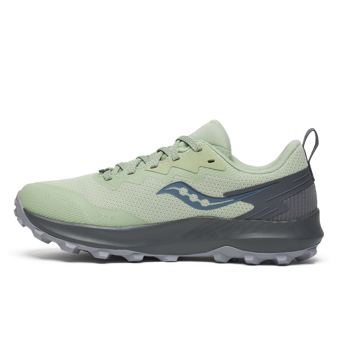 Peregrine 14 GTX - Women's