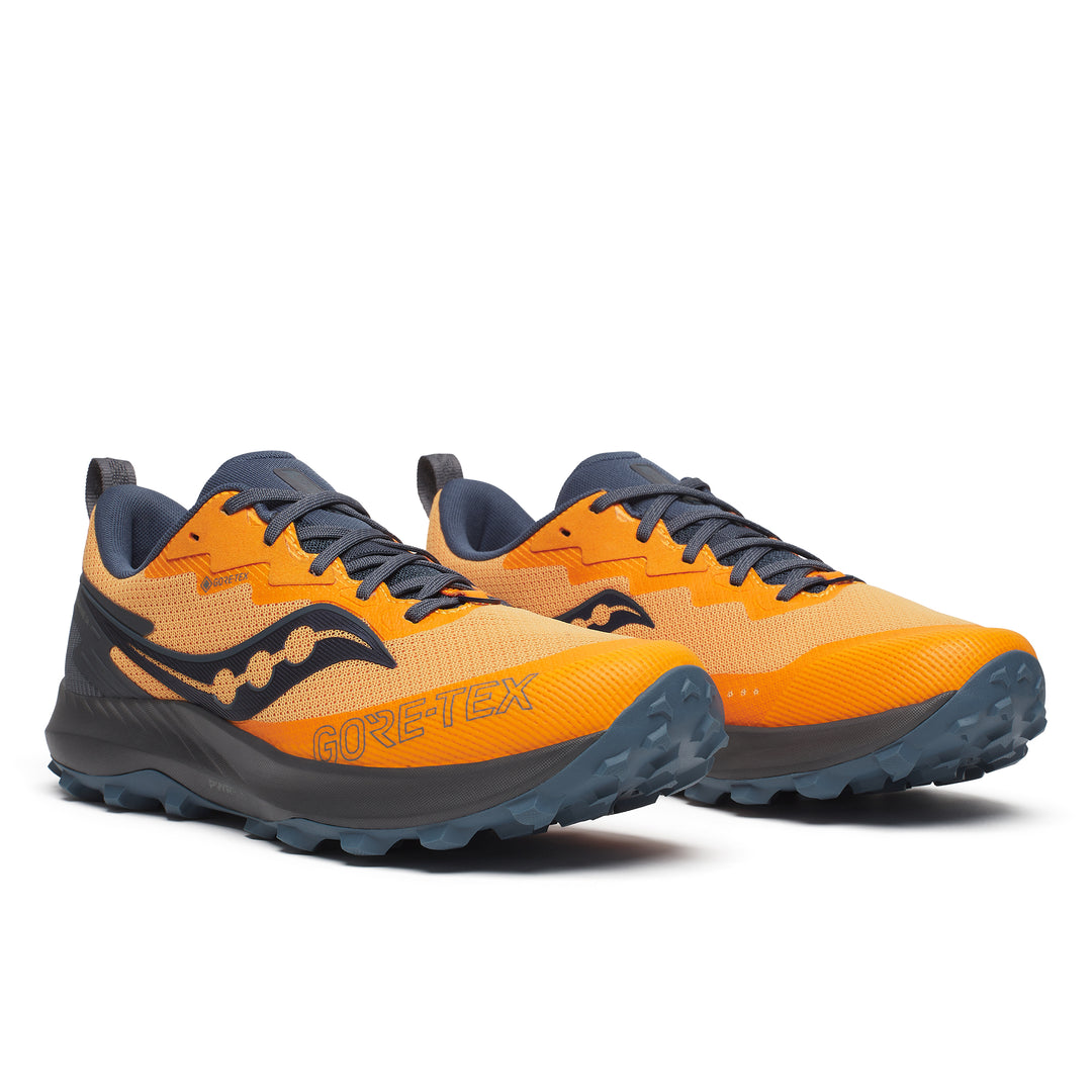 Peregrine 14 GTX - Men's