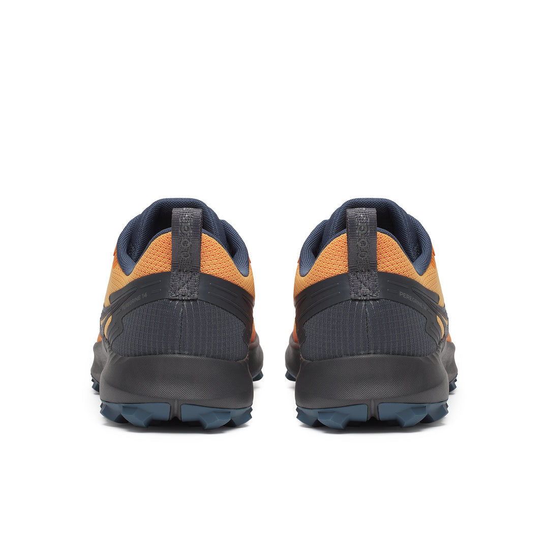 Peregrine 14 GTX - Men's