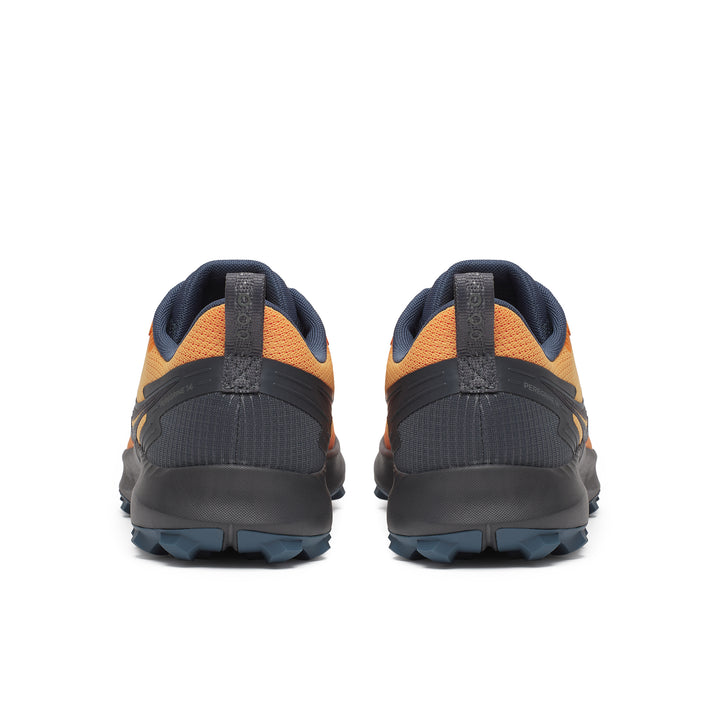 Peregrine 14 GTX - Men's