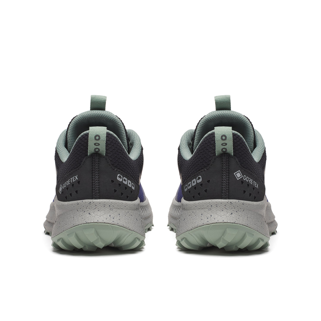 Ride TR2 GTX - Men's