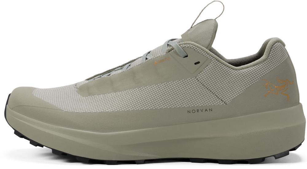 Norvan LD 4 GTX - Men's