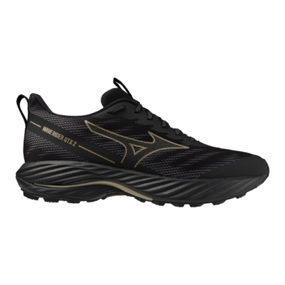 Wave Rider GTX 2 - Men's