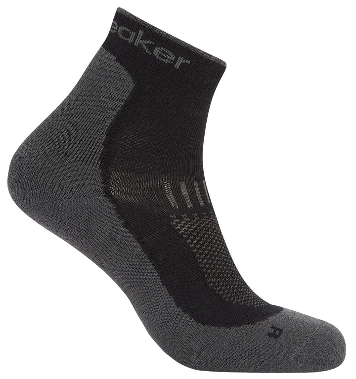 Merino Hike+ Light Mini Sock - Men's