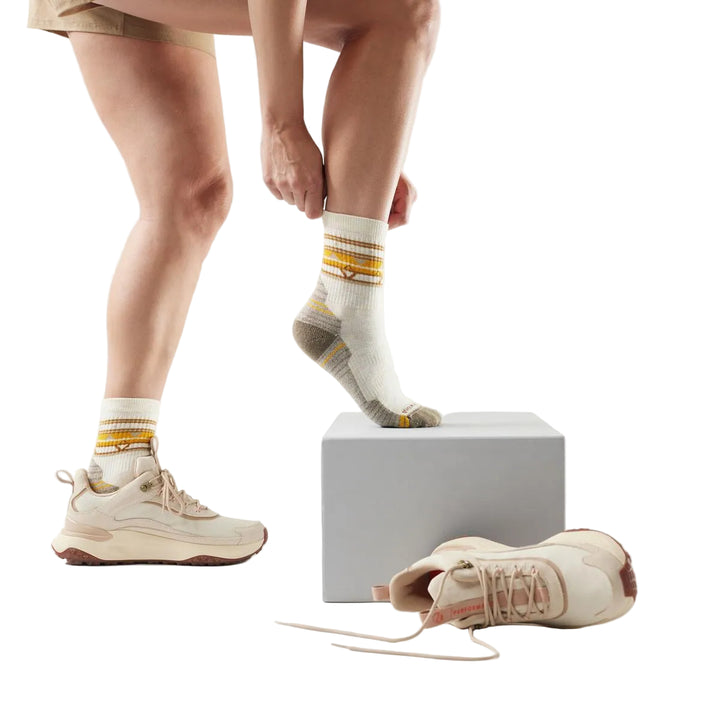 Hike Light Cushion Zig Zag Valley Mid Crew Socks - Women's
