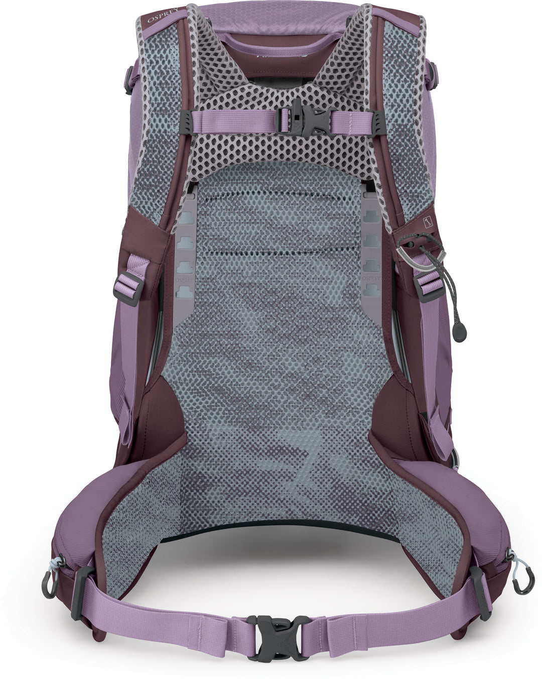 Sirrus Pack - 34L - Womens