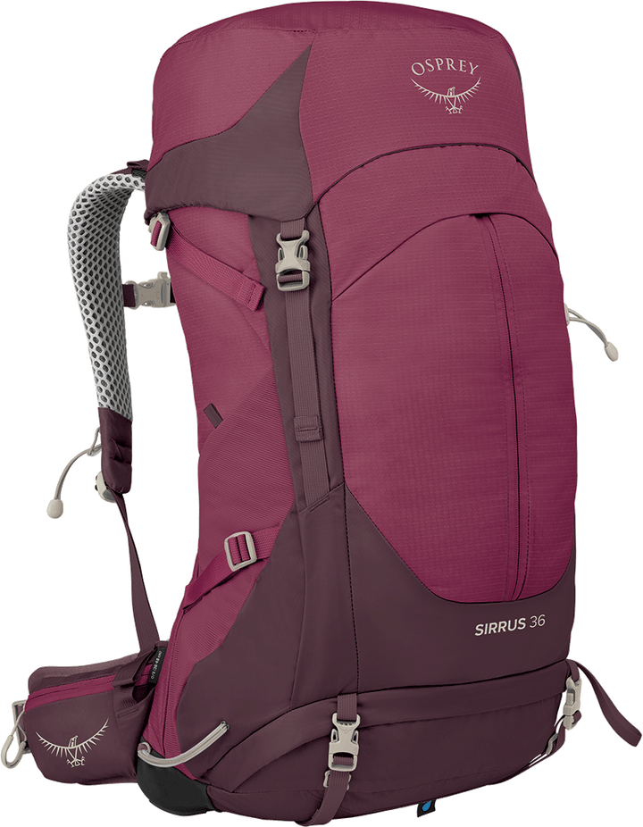 Sirrus 36 Pack - Womens