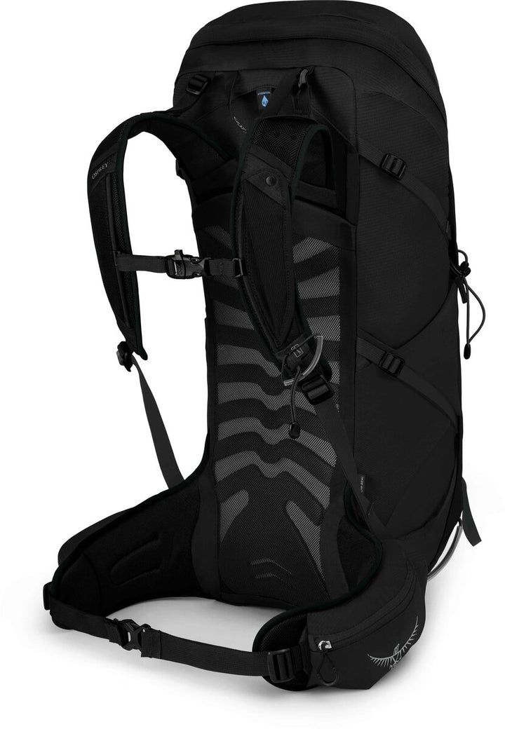 Talon 36 Pack - Men's