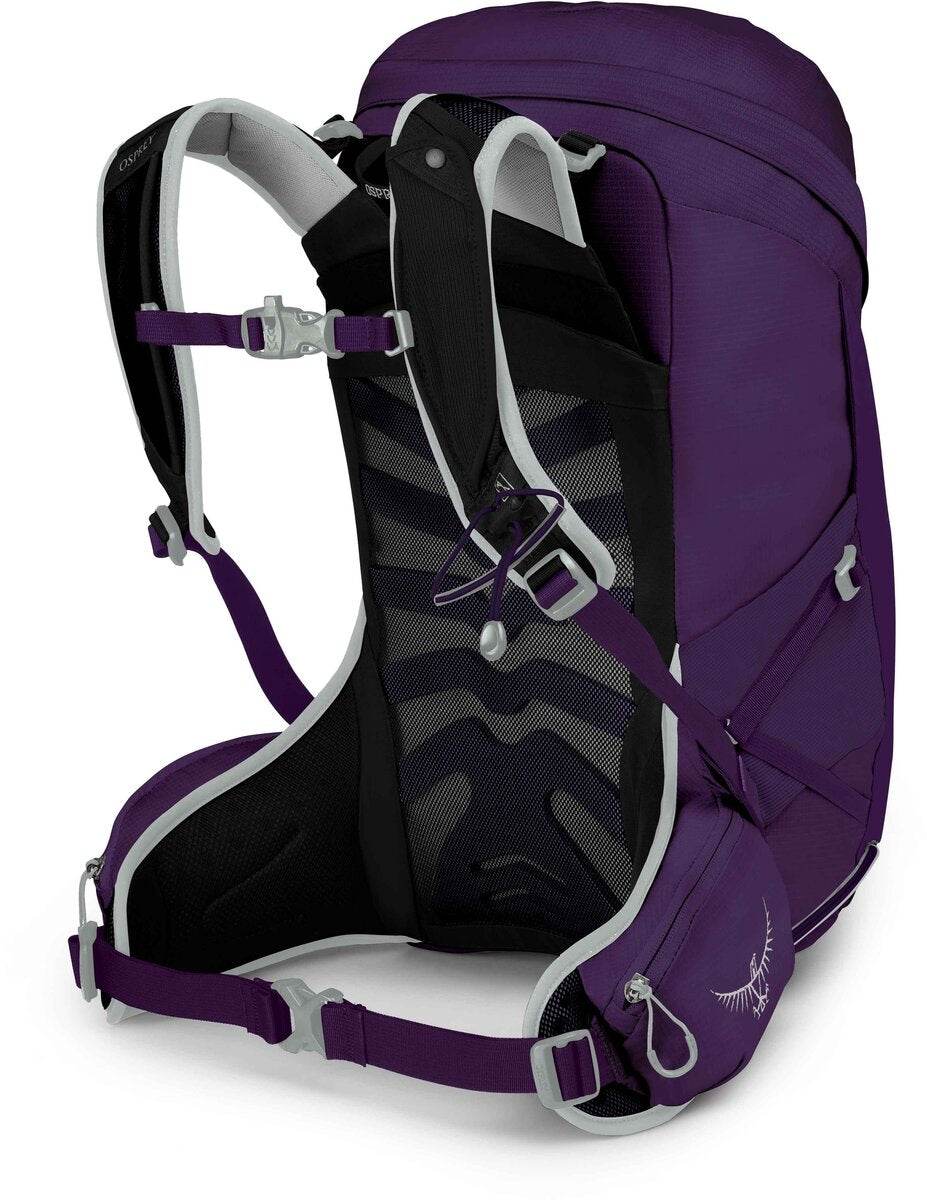 Tempest 24 Pack - Womens