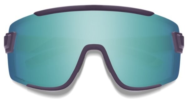 Wildcat Performance Sunglass