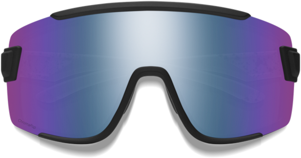 Wildcat Performance Sunglass