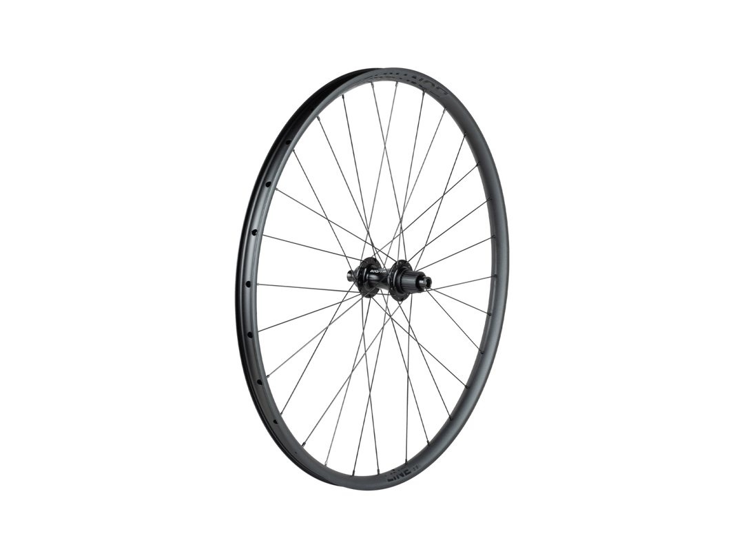 Line 30 TLR Boost Disc - 29" Rear Wheel