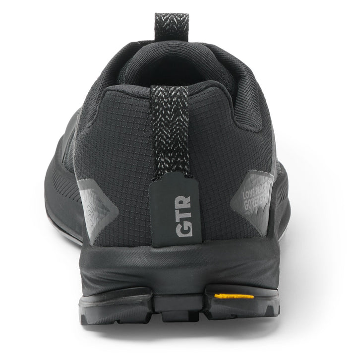 Lone Peak 9+ GTX - Men's