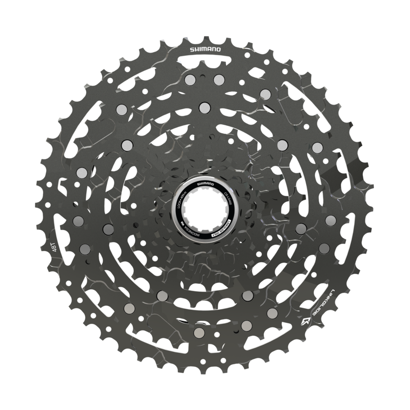 CUES CS-LG400-10 10-Speed Cassette