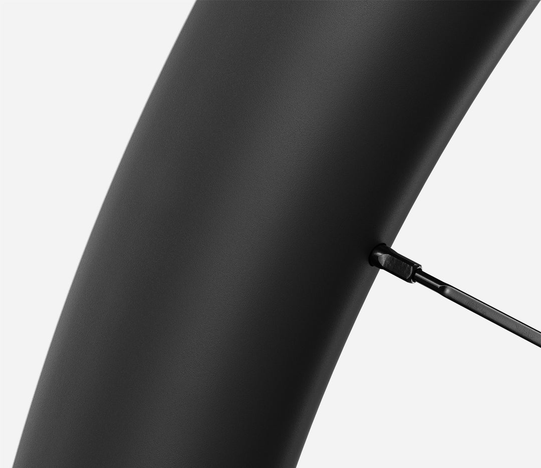 RP50LTD Carbon Disc Wheelset - 700c