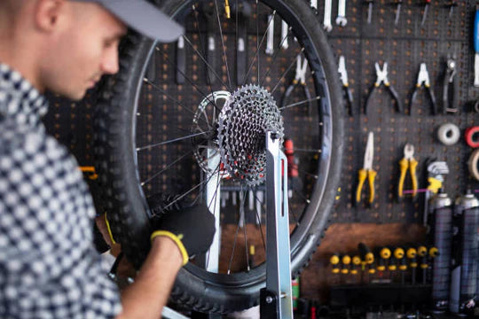 Service Package 2 - Major Tune