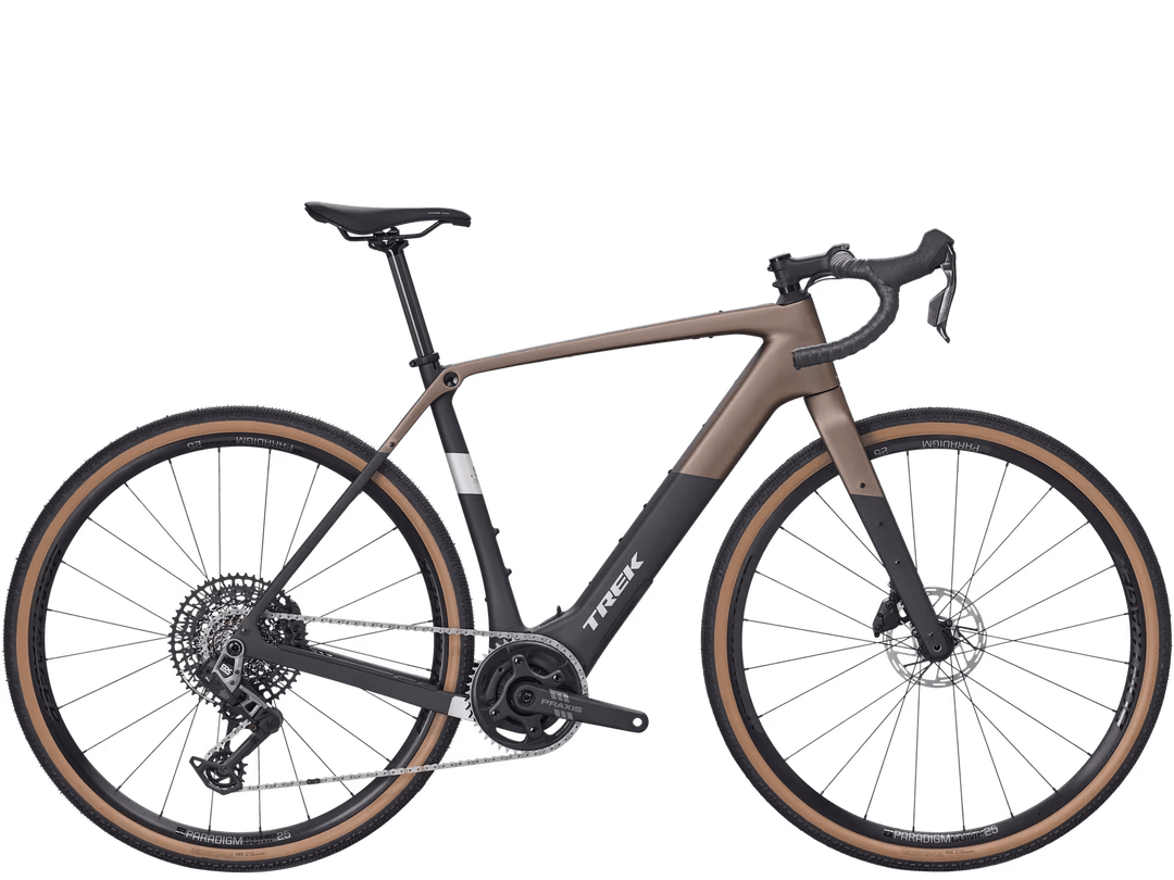 Checkpoint+ SL 6 AXS - E-Bike