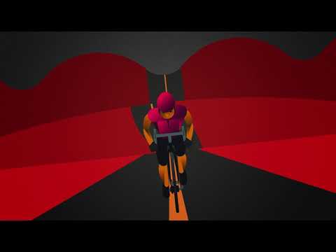 303 S Carbon Road/Gravel Disc Wheel - 700c