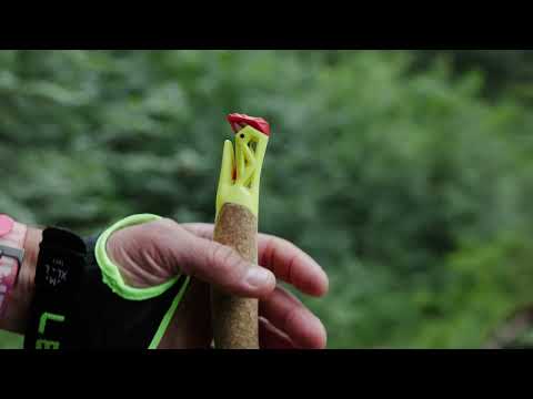 Ultratrail FX One Trail Running Pole