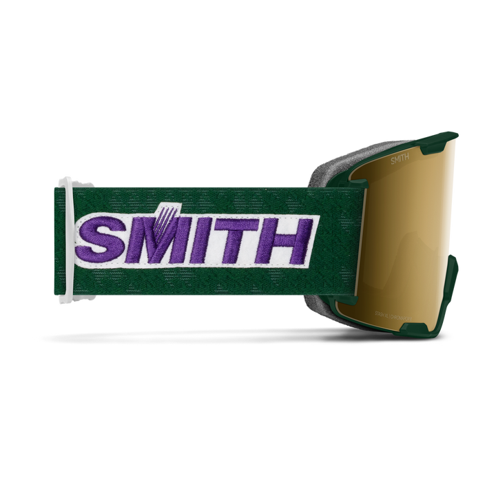 Stash XL Ski Goggles