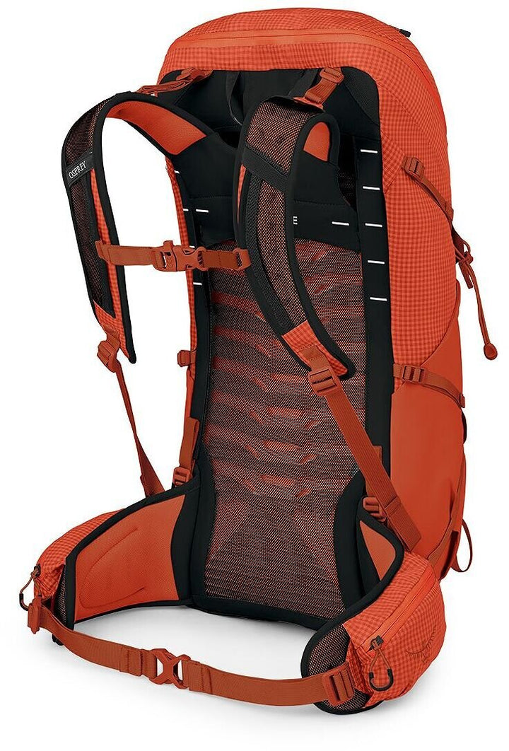 Talon Pro 30 Pack