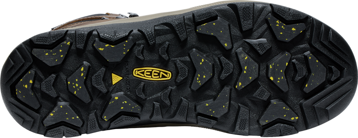 Revel IV High Polar Waterproof Boot - Men's