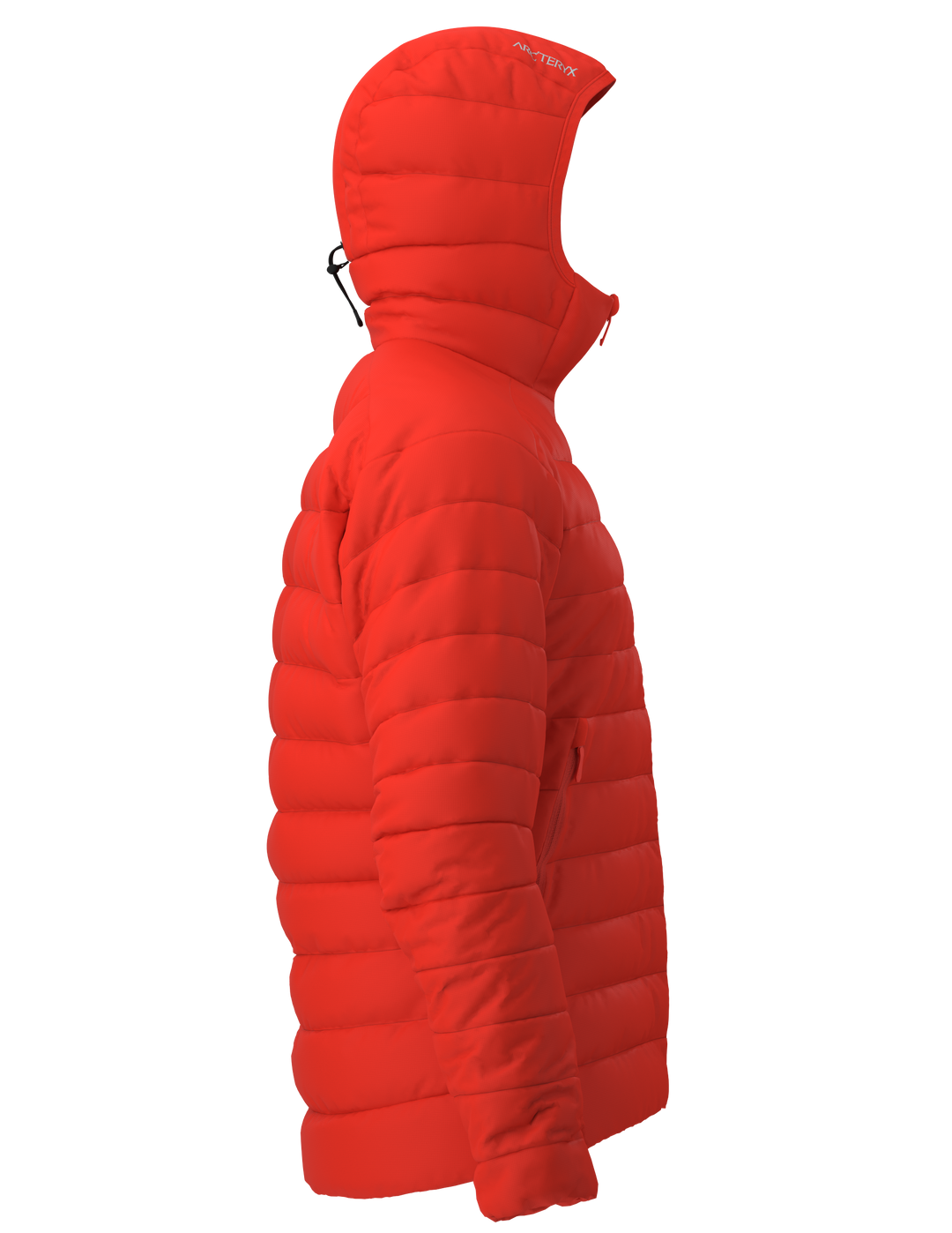 Down Cerium Down Hoody Jacket - Men's