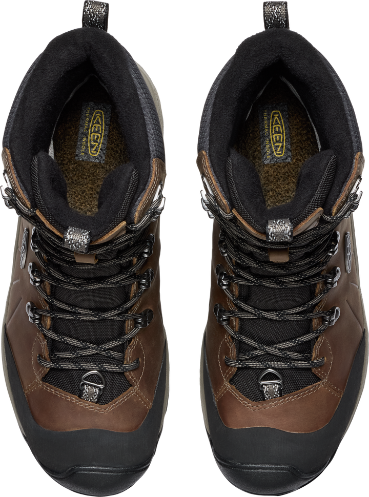 Revel IV High Polar Waterproof Boot - Men's